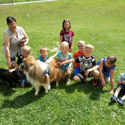 kleine Gruppe mit Hunden und Trainerin