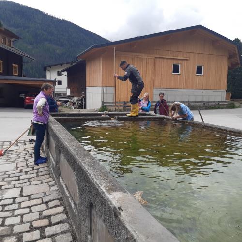 Brunnen