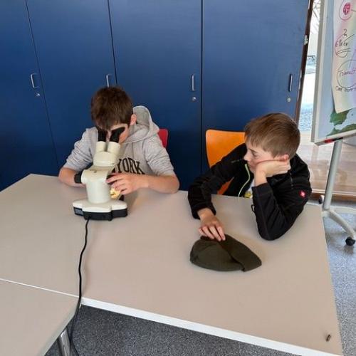 Wasserschule