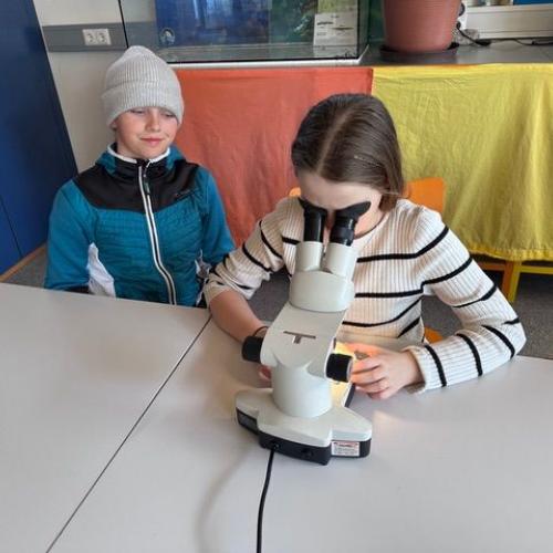 Wasserschule