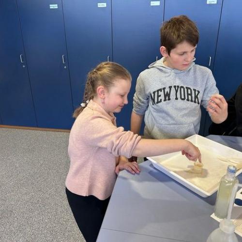 Wasserschule