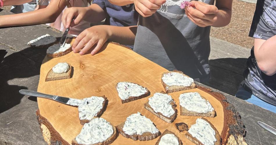 Pflanze und Brot